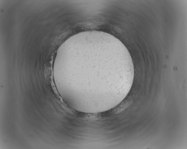 X0000077410624200611101846