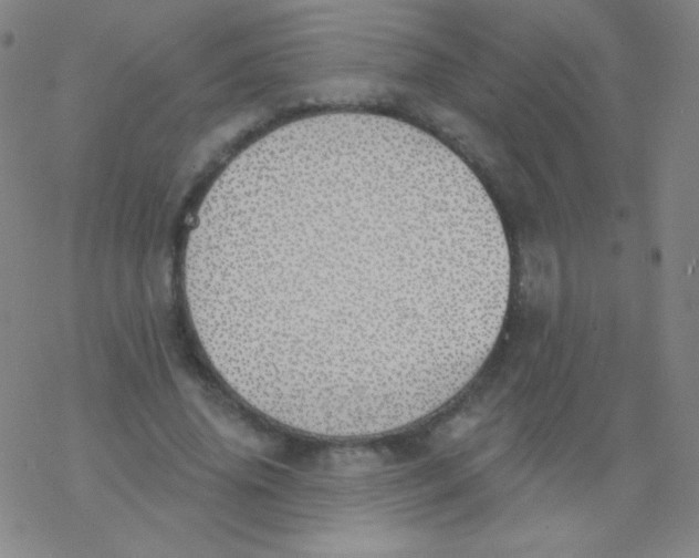 X0000077410636200611101846