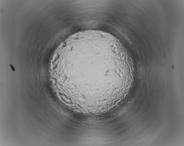 X0000077410641200611101846