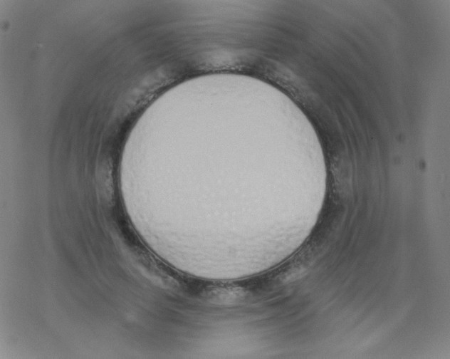 X0000077410642200611101846