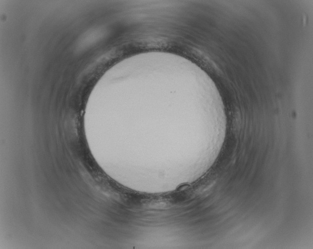 X0000077410643200611101846