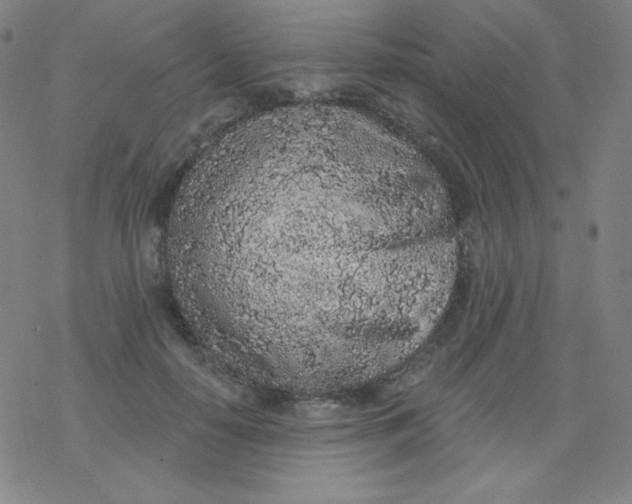 X0000077410650200611101846