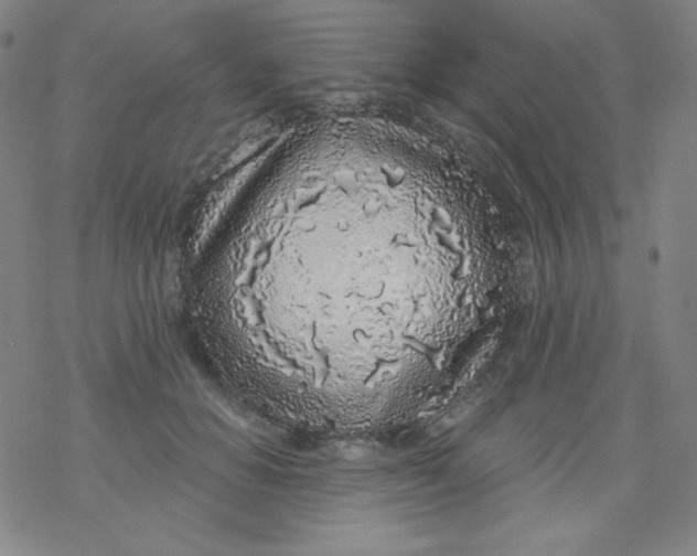 X0000077410654200611101846