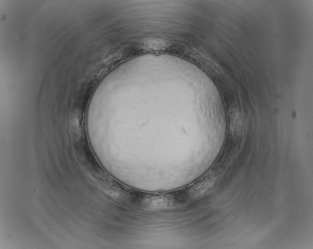 X0000077410655200611101846