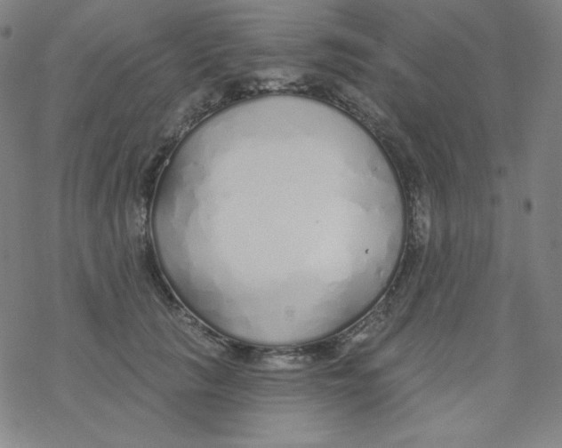 X0000077410657200611101846