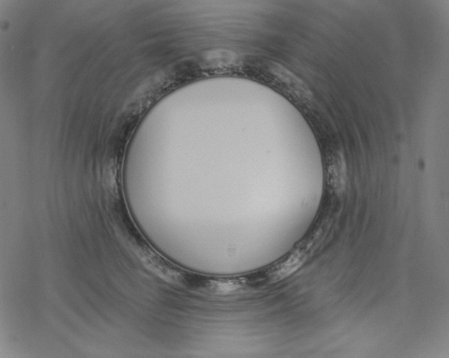 X0000077410662200611101846