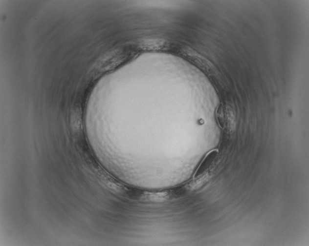 X0000077410665200611101846