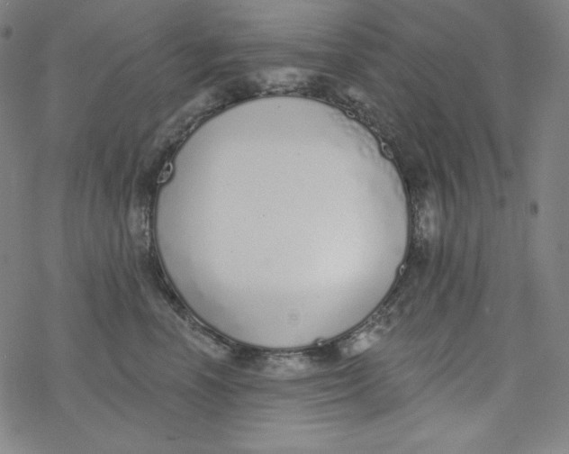 X0000077410666200611101846