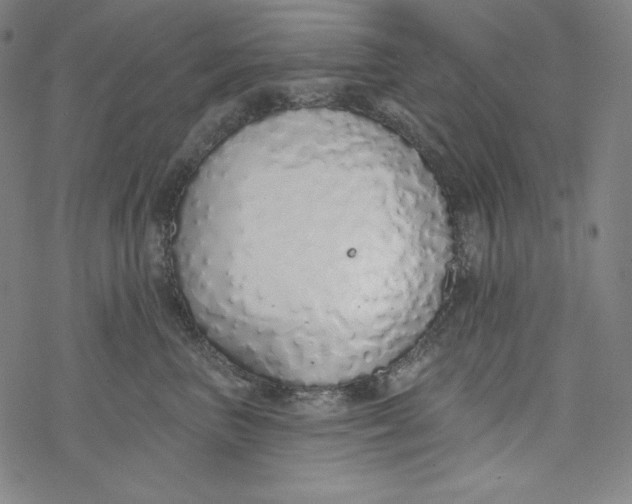 X0000077410667200611101846