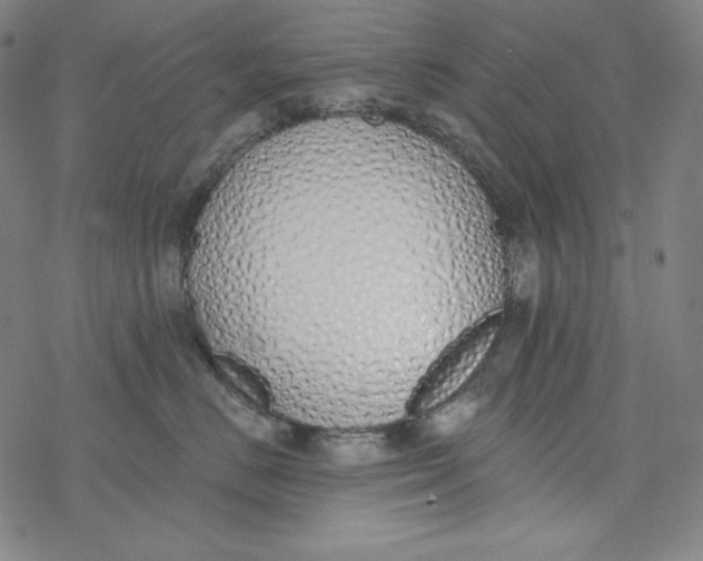 X0000077410670200611101846