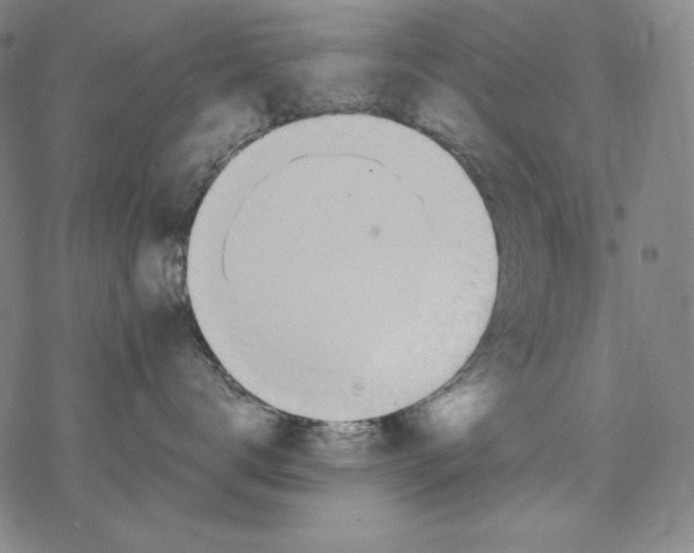 X0000077410672200611101846