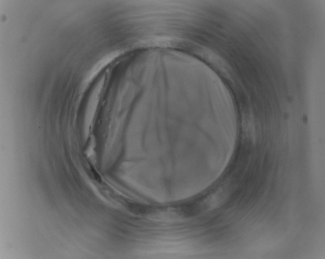 X0000077410674200611101846