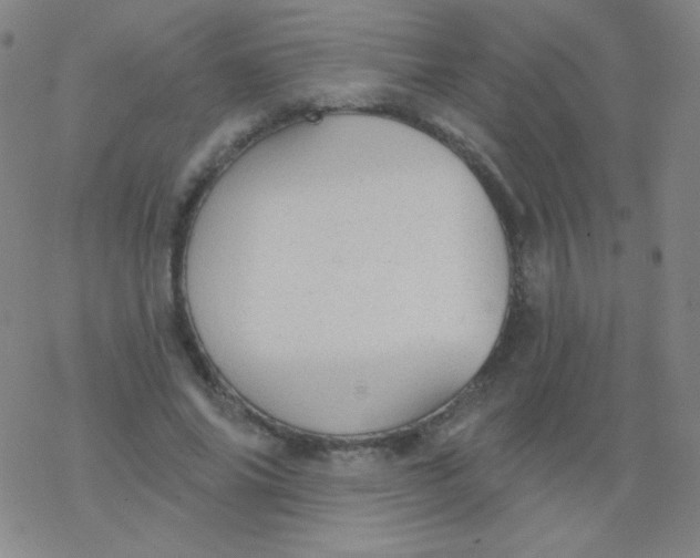 X0000077410686200611101845