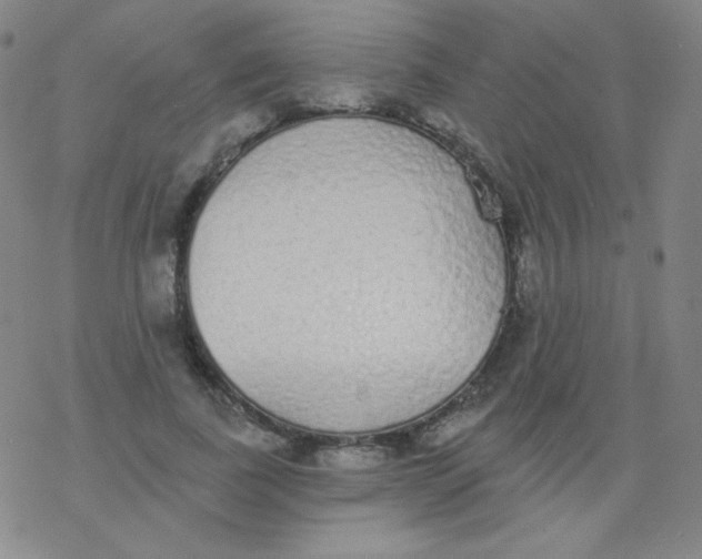 X0000077410739200611101844