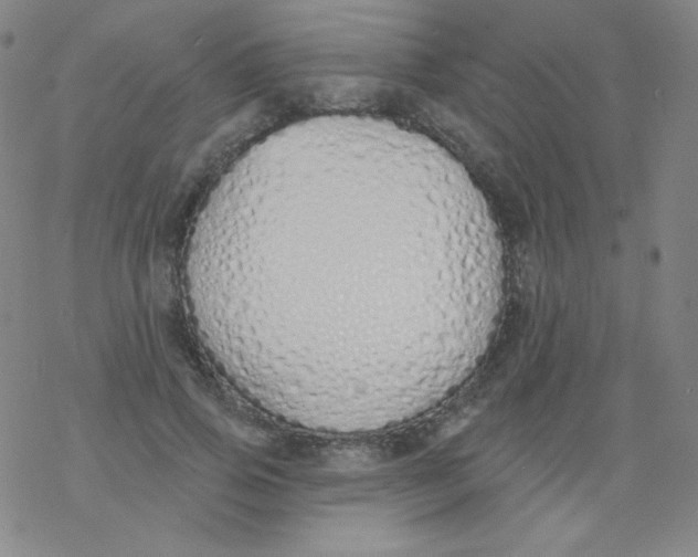X0000077410741200611101844
