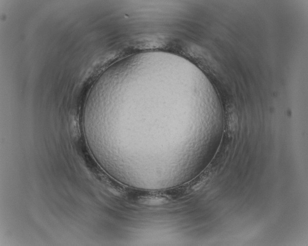 X0000077410743200611101845