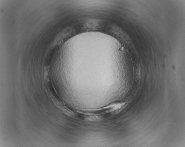 X0000077410759200611101845
