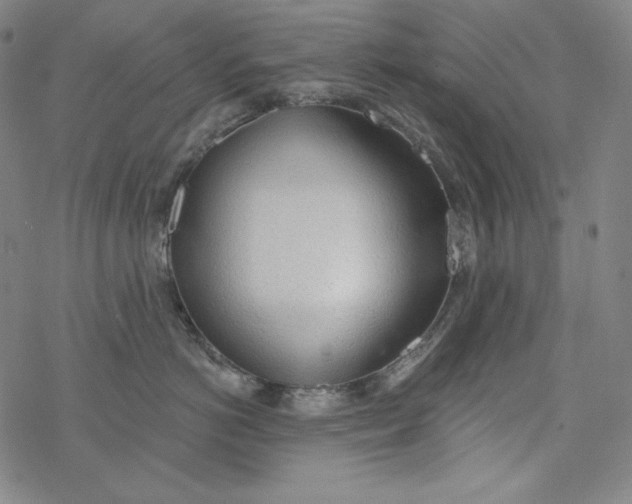 X0000077410766200611101845