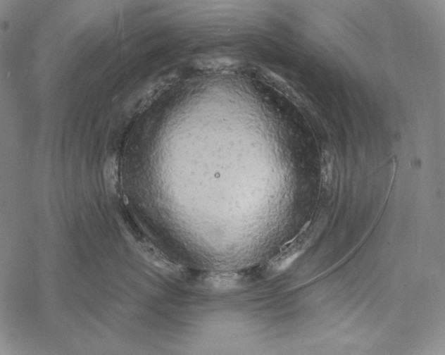 X0000077410767200611101845