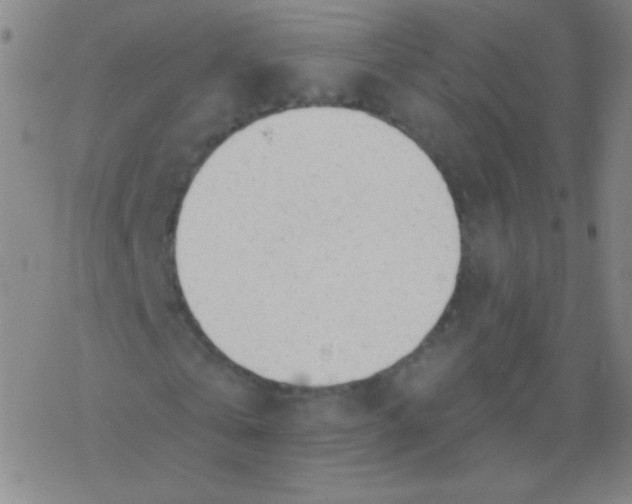 X0000077410769200611101844