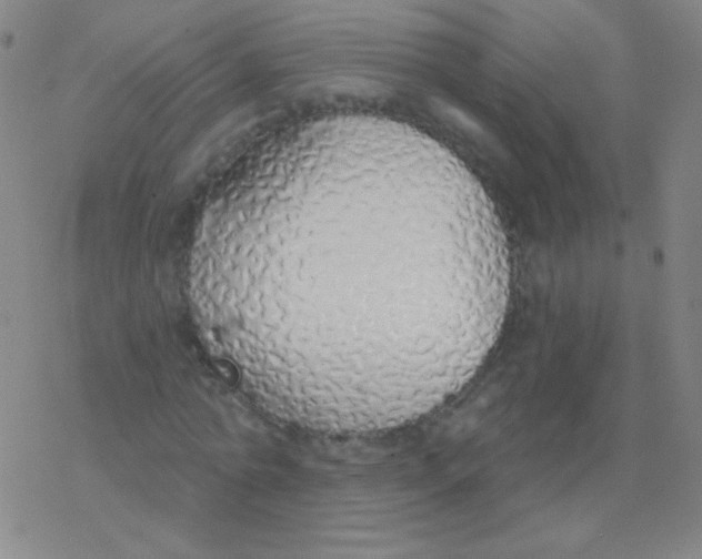 X0000077410774200611101844