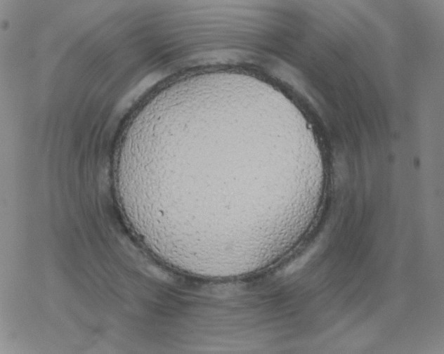 X0000077410778200611101844