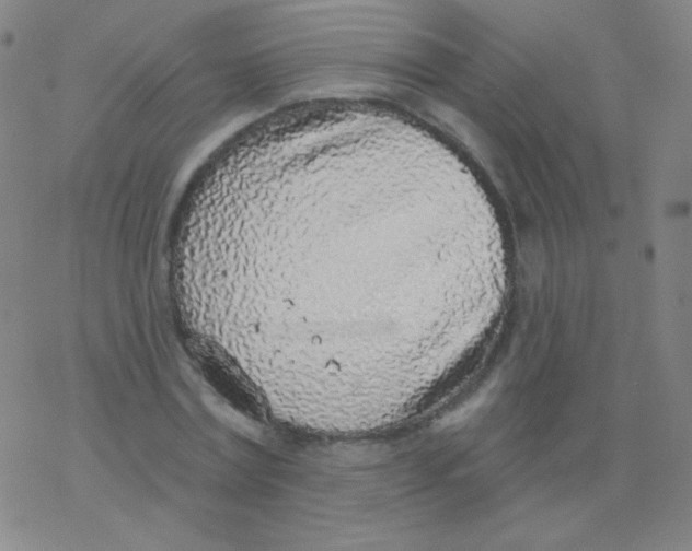 X0000077410779200611101844