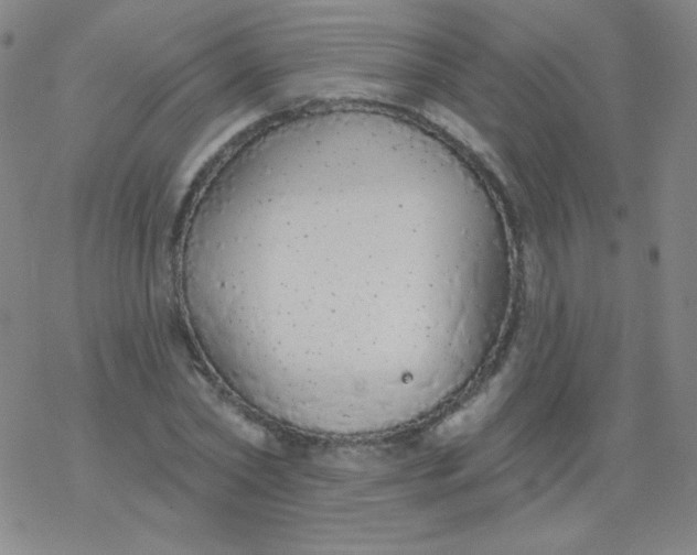 X0000077410782200611101844