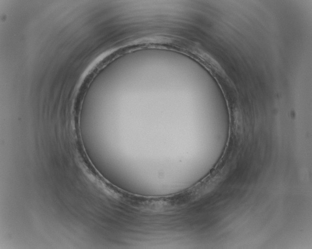 X0000077410784200611101844