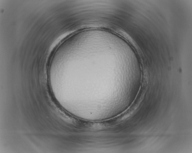 X0000077410787200611101844