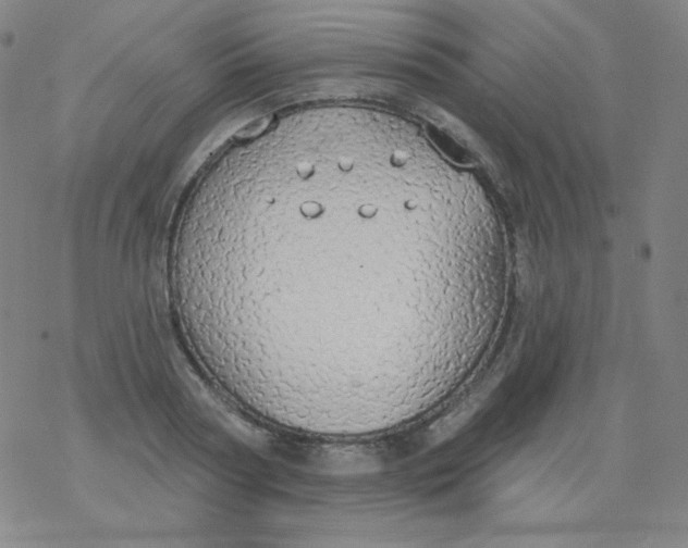 X0000077410794200611101844