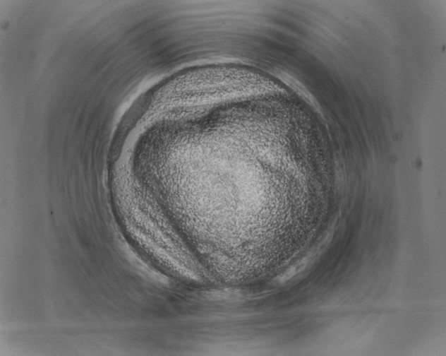 X0000077410797200611101844