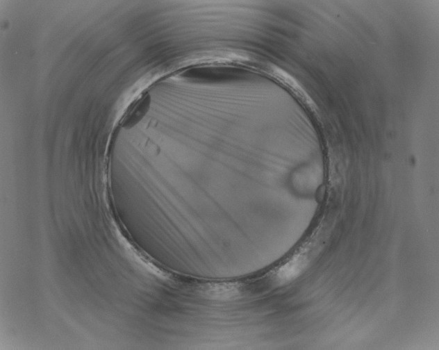 X0000077410802200611101844