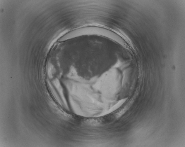 X0000077410806200611101844