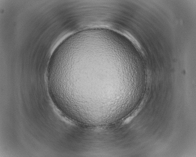 X0000077410814200611101843