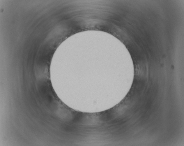 X0000077410820200611101843