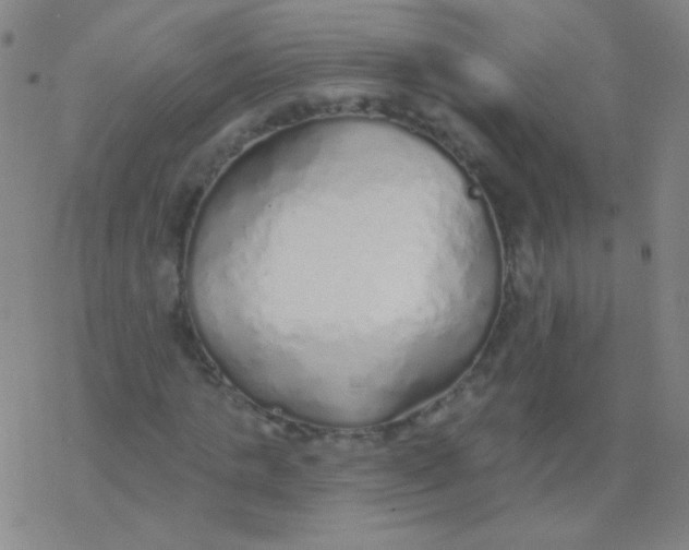 X0000077410821200611101843
