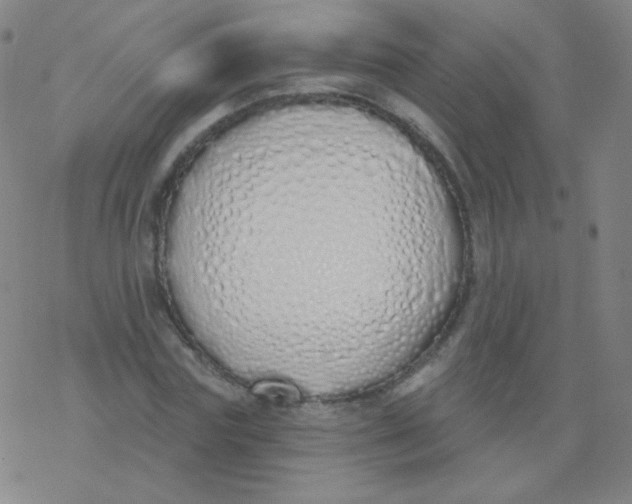 X0000077410827200611101843