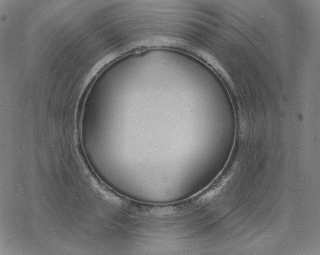 X0000077410845200611101843