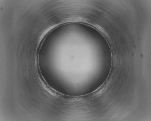X0000077410846200611101843