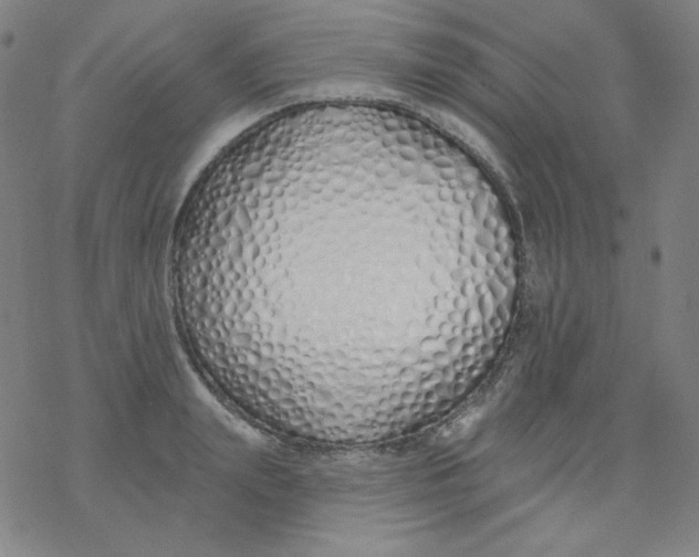 X0000077410847200611101843