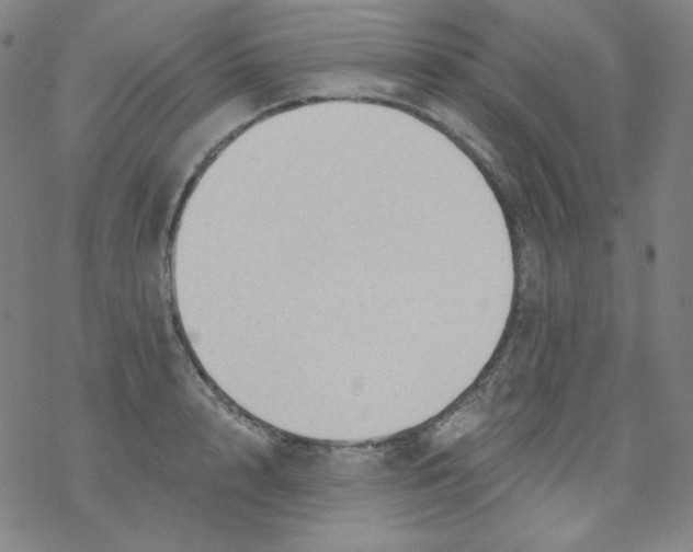 X0000077410848200611101843