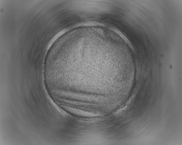 X0000077410853200611101843