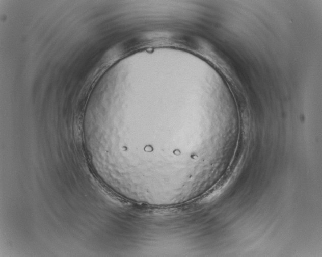 X0000077410857200611101843
