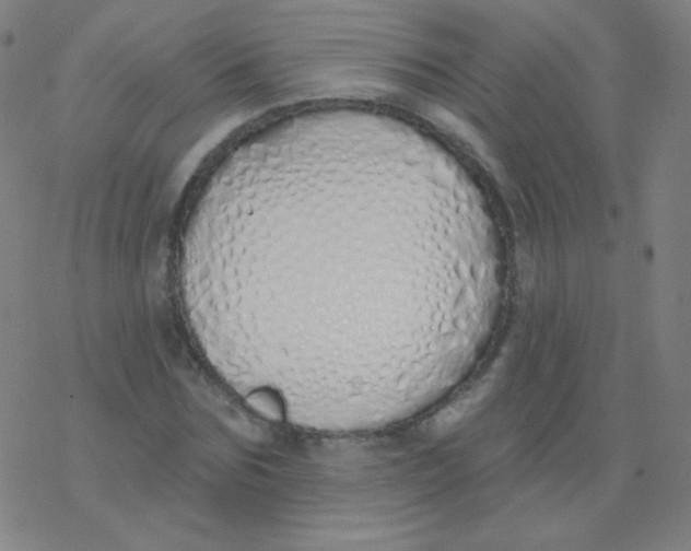 X0000077410875200611101842