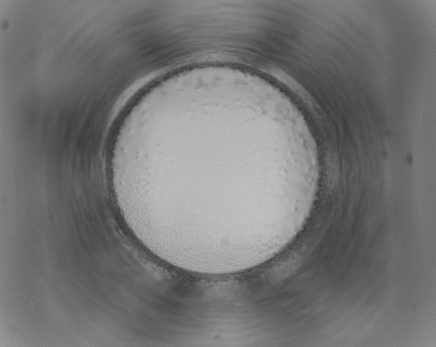 X0000077410886200611101842