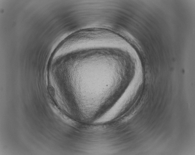 X0000077410892200611101842