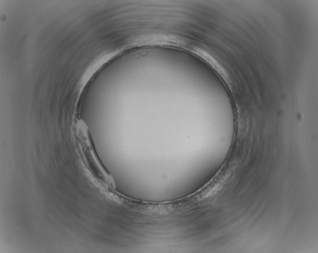 X0000077410901200611101842