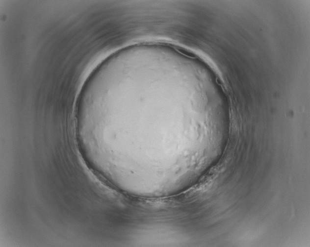 X0000077410911200611101842
