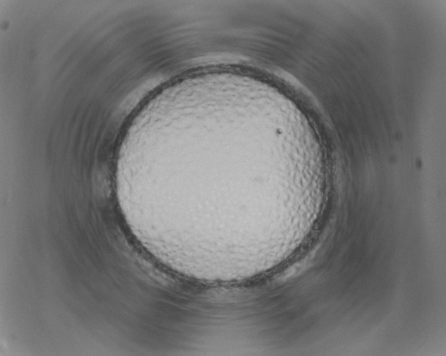 X0000077410929200611101841